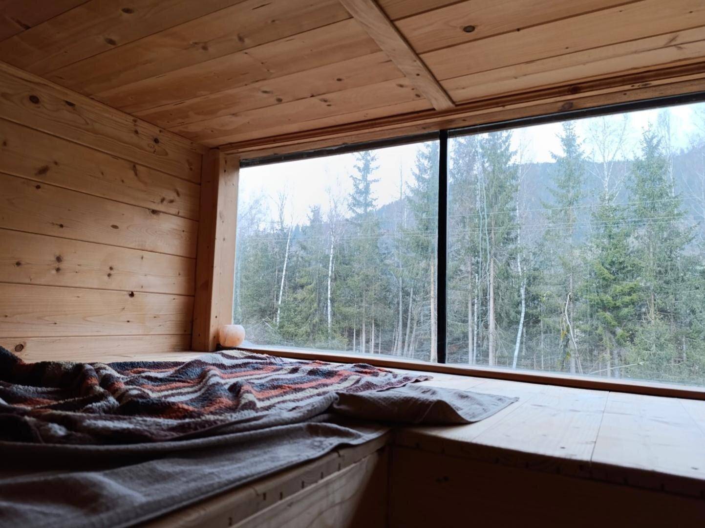 Gemütlicher Schlafbereich mit Holzverkleidung und einem großen Fenster mit Blick auf den Wald.