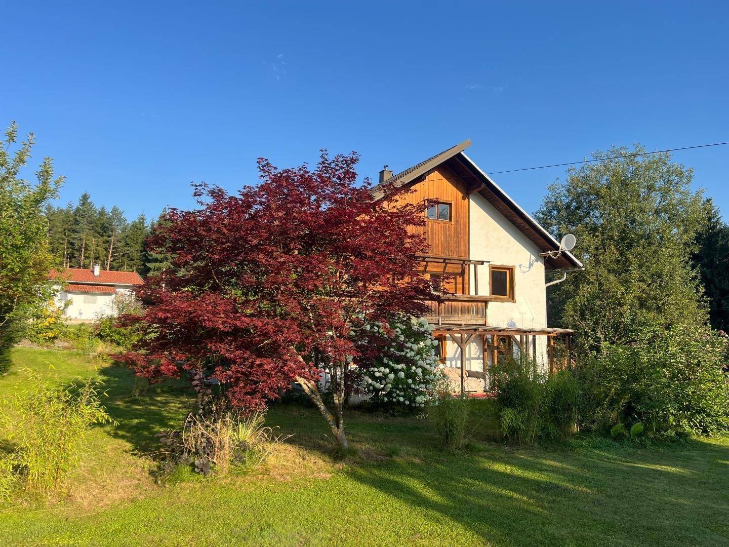 Haus mit Holzfassade und weißem Putz, umgeben von grünem Rasen und Bäumen, darunter ein roter Ahorn.
