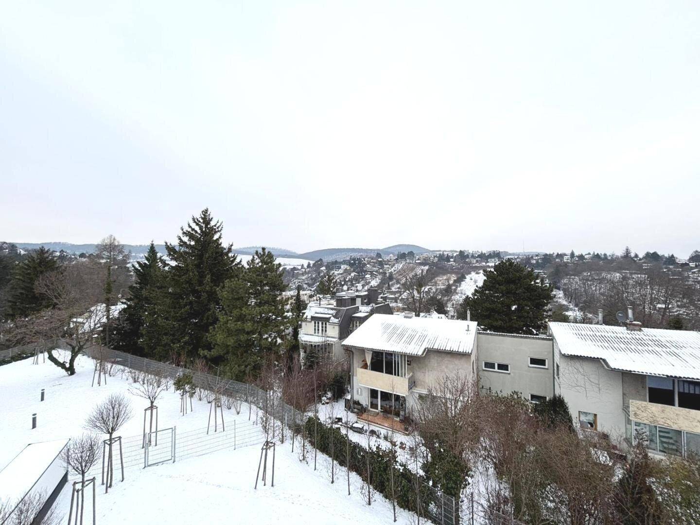Winterliche Landschaft mit schneebedeckten Häusern, Bäumen und einer weiten Aussicht.