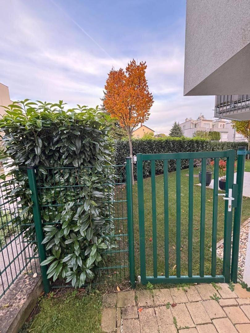 Grüner Gartenbereich mit Zaun, Hecke und einem Baum mit Herbstlaub.