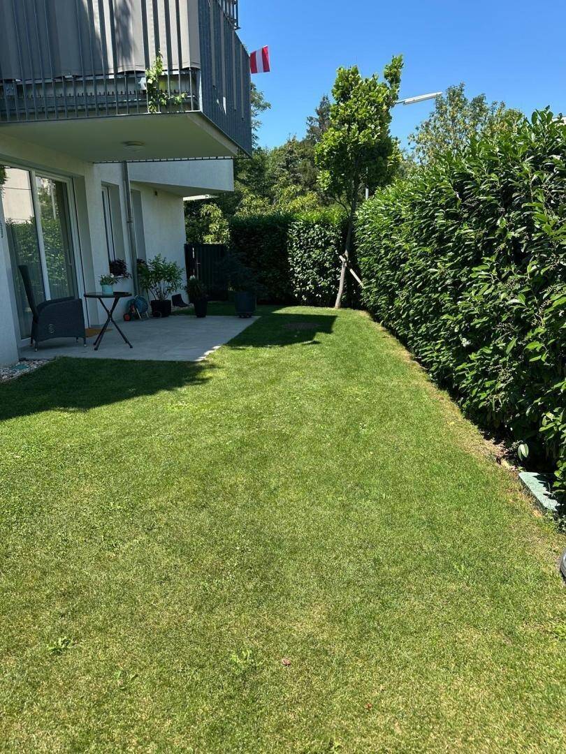 Langer Rasenstreifen mit Hecke und Zugang zu einer Terrasse.