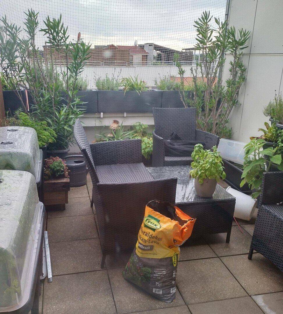 Begrünte Dachterrasse mit gemütlicher Sitzgruppe und vielen Pflanzen.