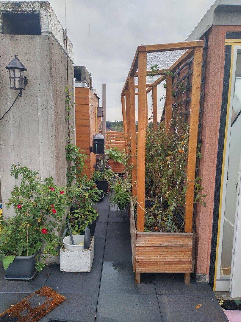 Schmaler Bereich der Dachterrasse mit vertikalen Pflanzkästen und Rankhilfen.