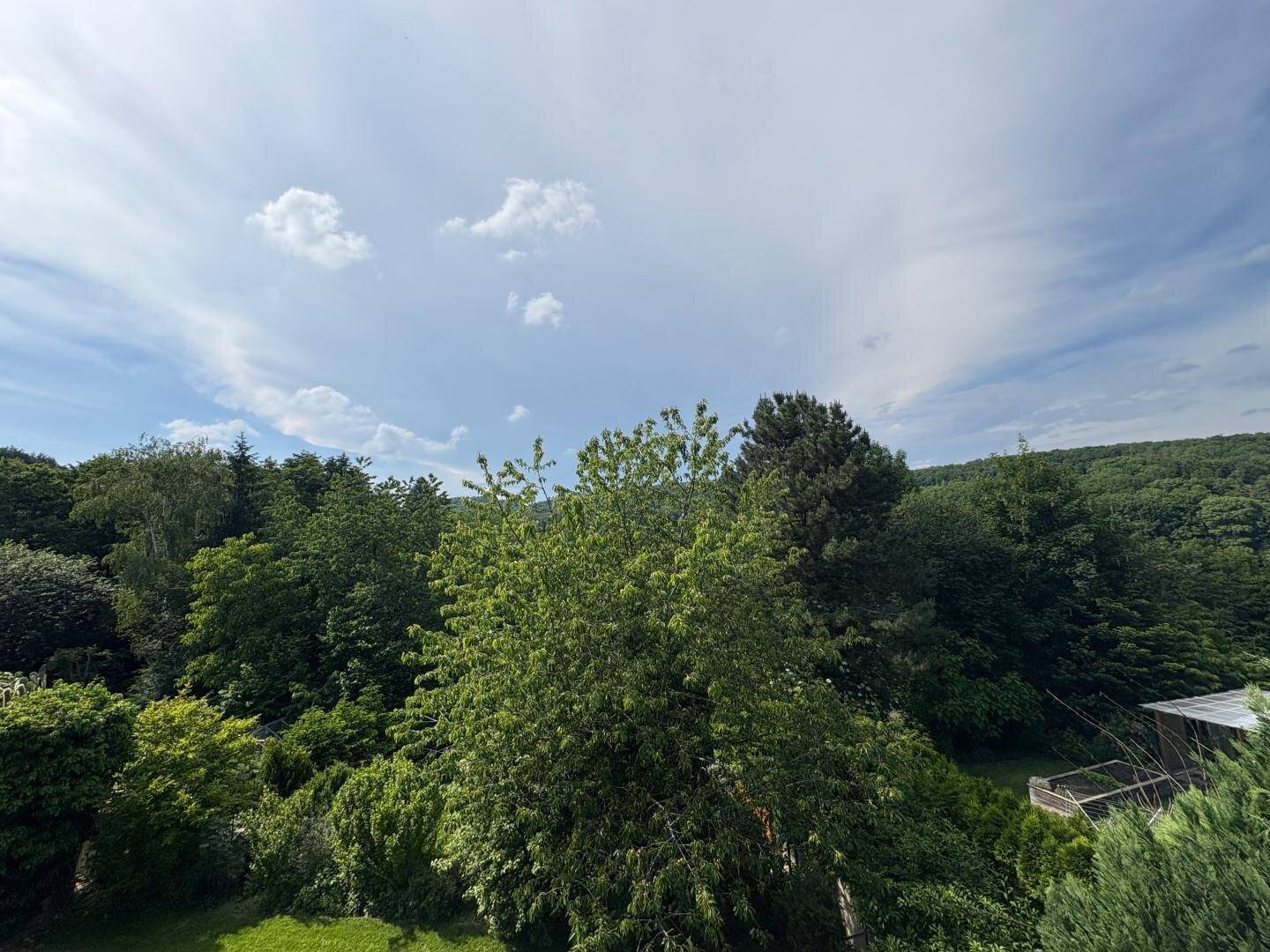 Weitläufiger Blick ins Grüne mit vielen Bäumen und hellem Himmel an einem sonnigen Tag.