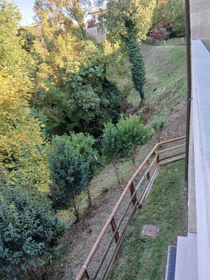 Hanglage mit üppiger Vegetation, Bäumen und einem einfachen Holzgeländer.