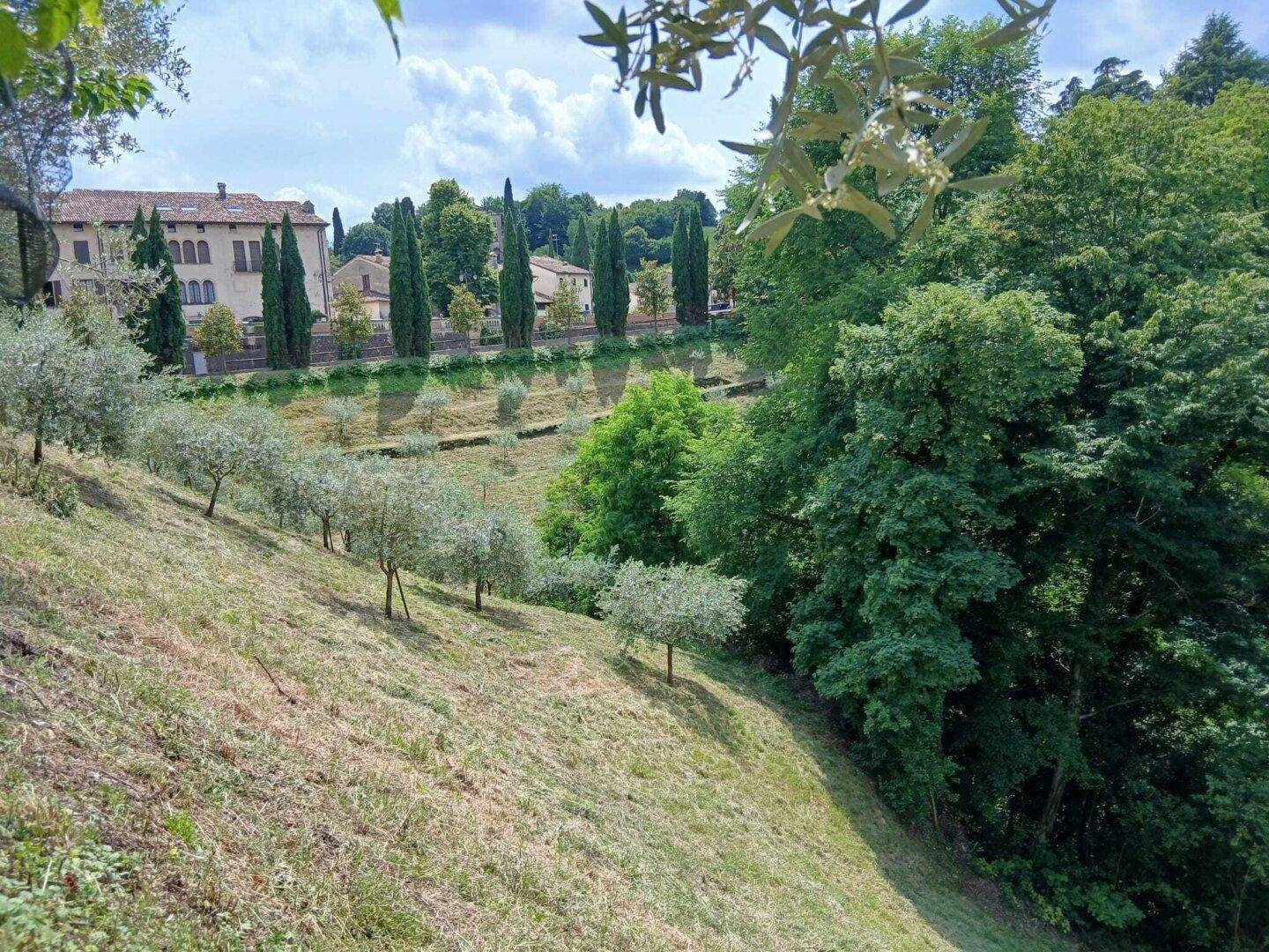 Weitläufige grüne Landschaft mit Olivenhainen und historischen Gebäuden am Horizont.