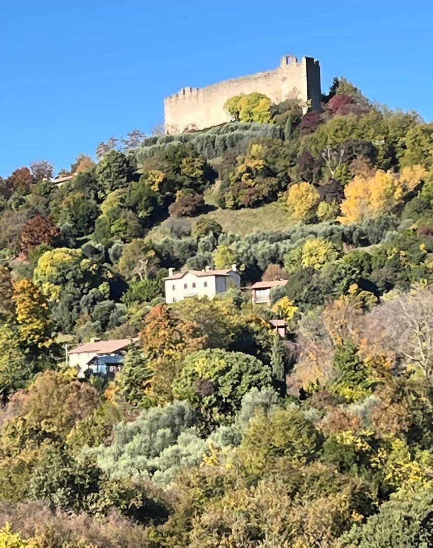 Historische Burg auf einem bewaldeten Hügel mit herbstlicher Vegetation unter blauem Himmel.