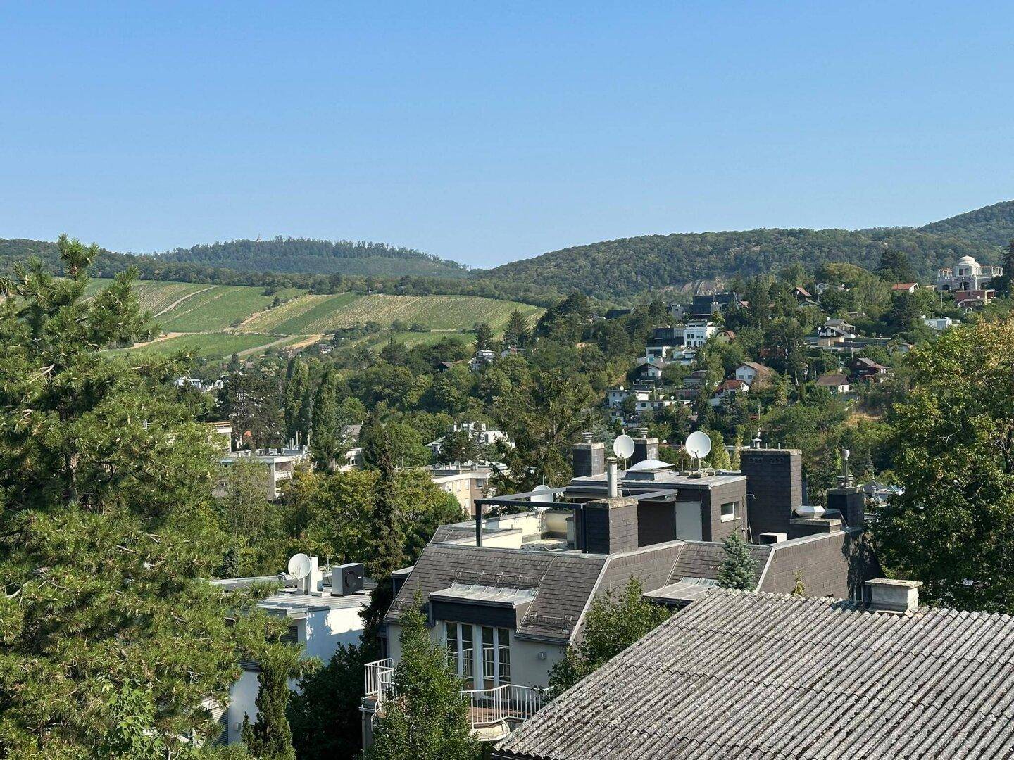Panoramablick über eine Wohngegend mit grünen Hügeln, Weinbergen und verstreuten Häusern.