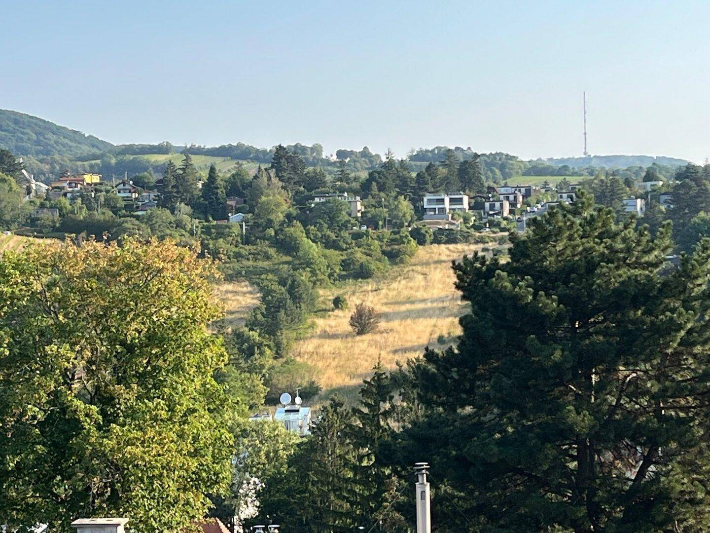 Weitläufiger Blick über grüne Hügel und ländliche Bebauung unter blauem Himmel.