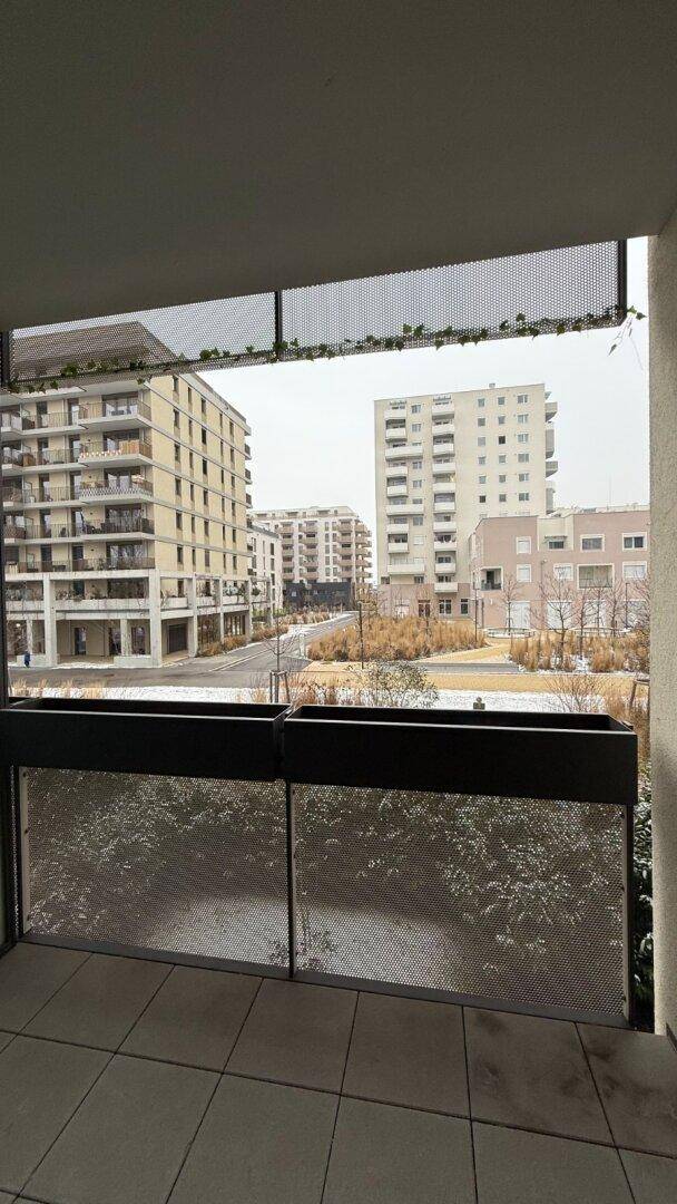 Balkon mit Blick auf die umliegenden Wohngebäude und eine begrünte Außenanlage.