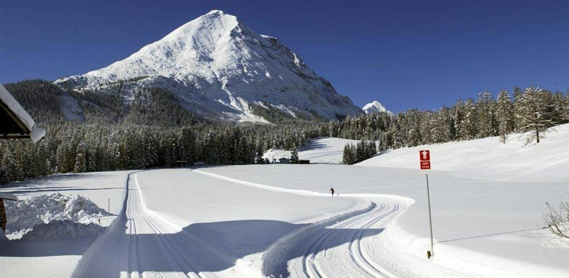 Weitläufige verschneite Landschaft mit präparierten Langlaufloipen und majestätischem Bergpanorama unter klarem Himmel.