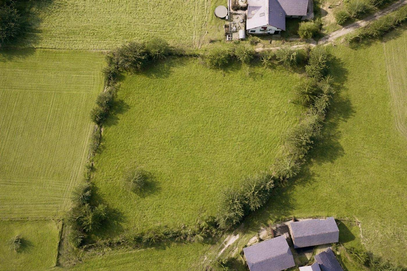 Luftaufnahme eines grünen Grundstücks, umgeben von Hecken und Bäumen, mit angrenzenden Gebäuden.