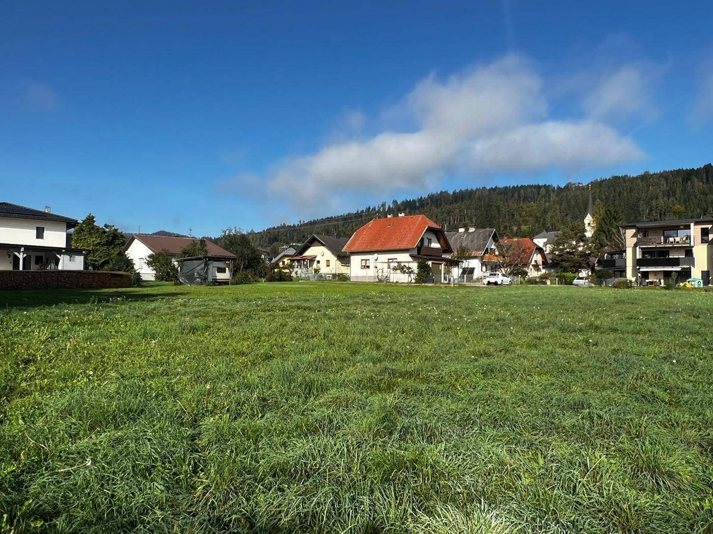 Panoramablick über eine grüne Wiese auf eine ländliche Siedlung mit Bergen.