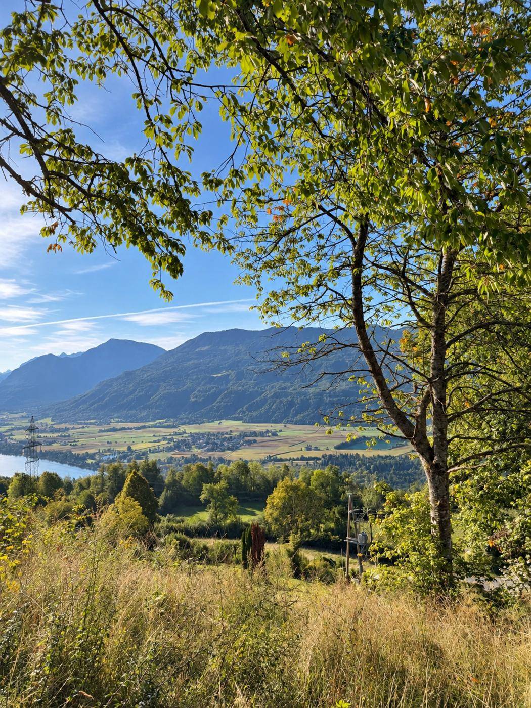 Aussicht