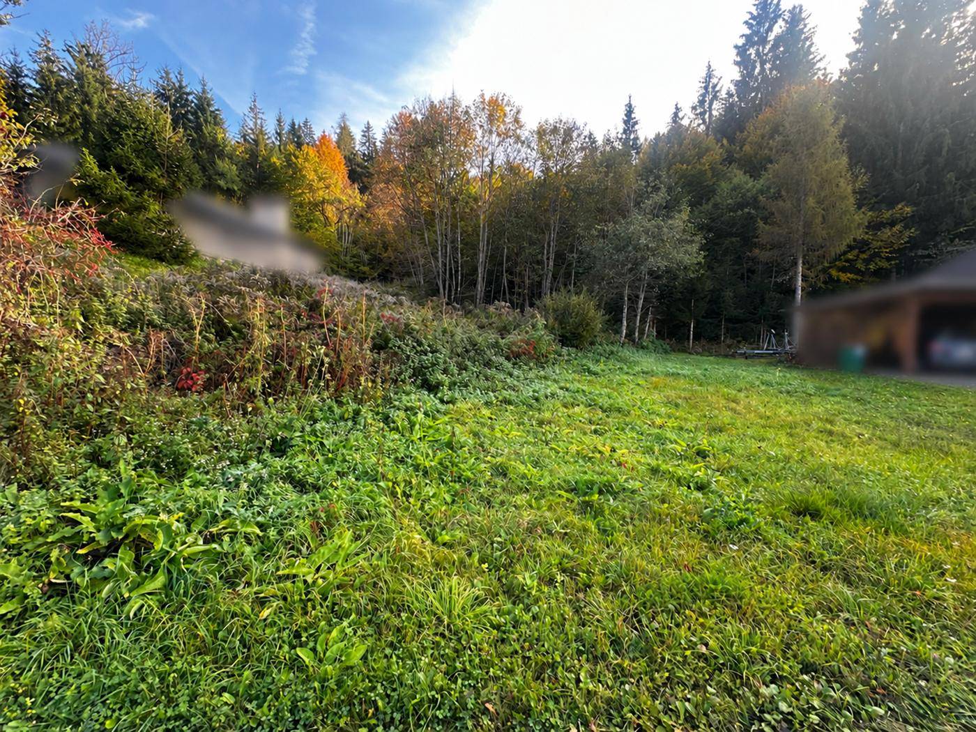 Weitläufige Grünfläche mit Bäumen und herbstlicher Vegetation unter blauem Himmel.