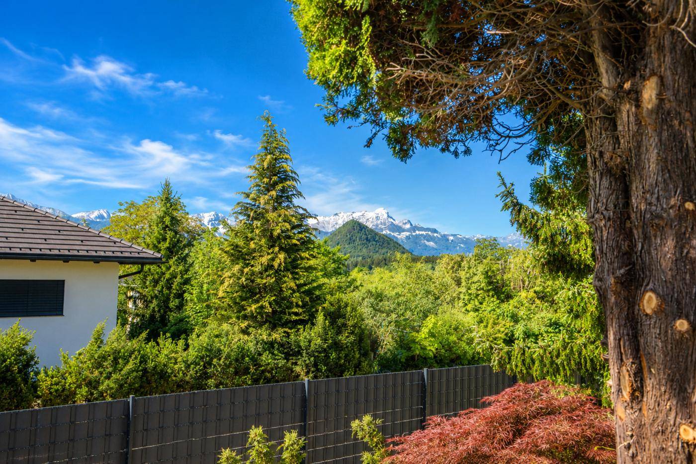 Malerischer Bergblick über grüne Bäume und einen Zaun unter klarem blauem Himmel.