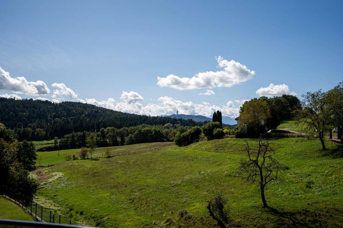 Ausblick