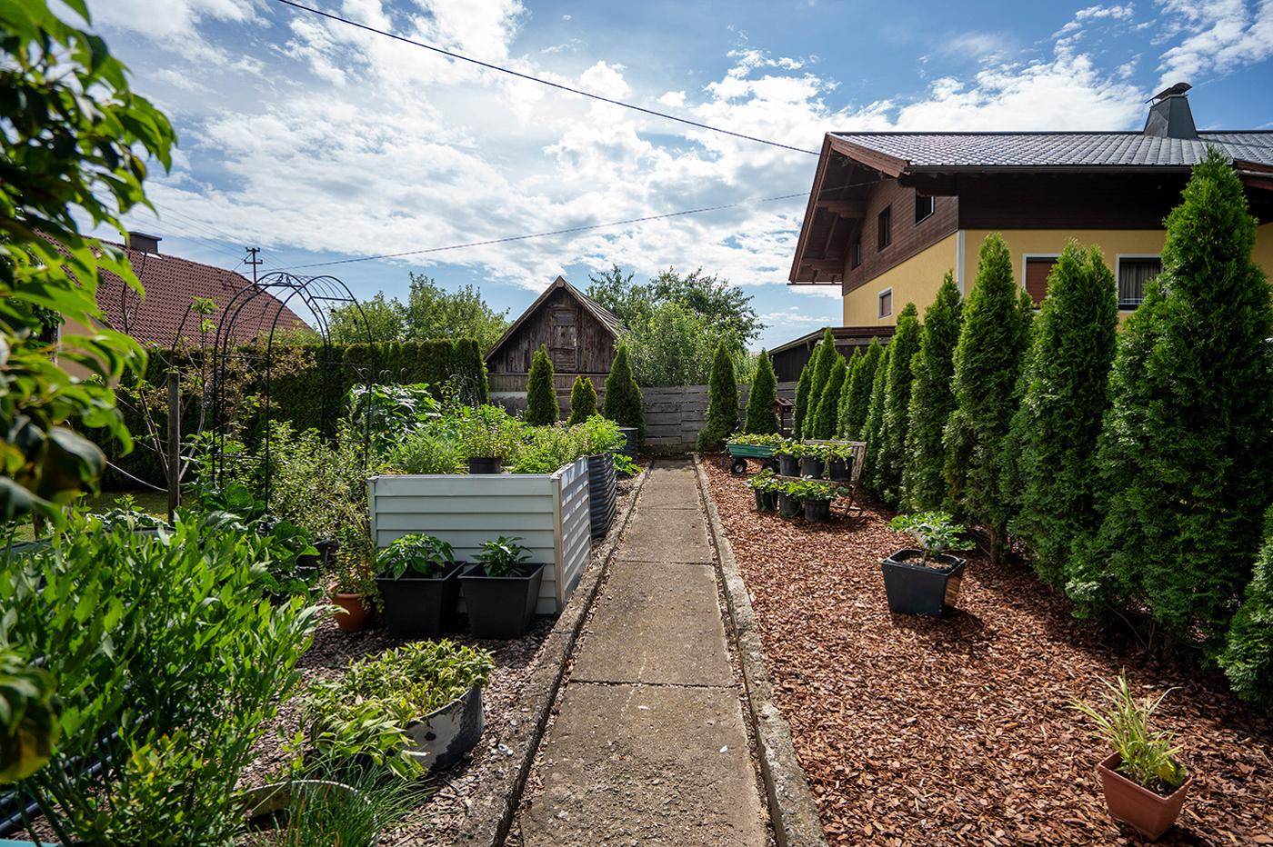 Gepflegter Gartenweg zwischen Hochbeeten und einer Reihe von immergrünen Bäumen.