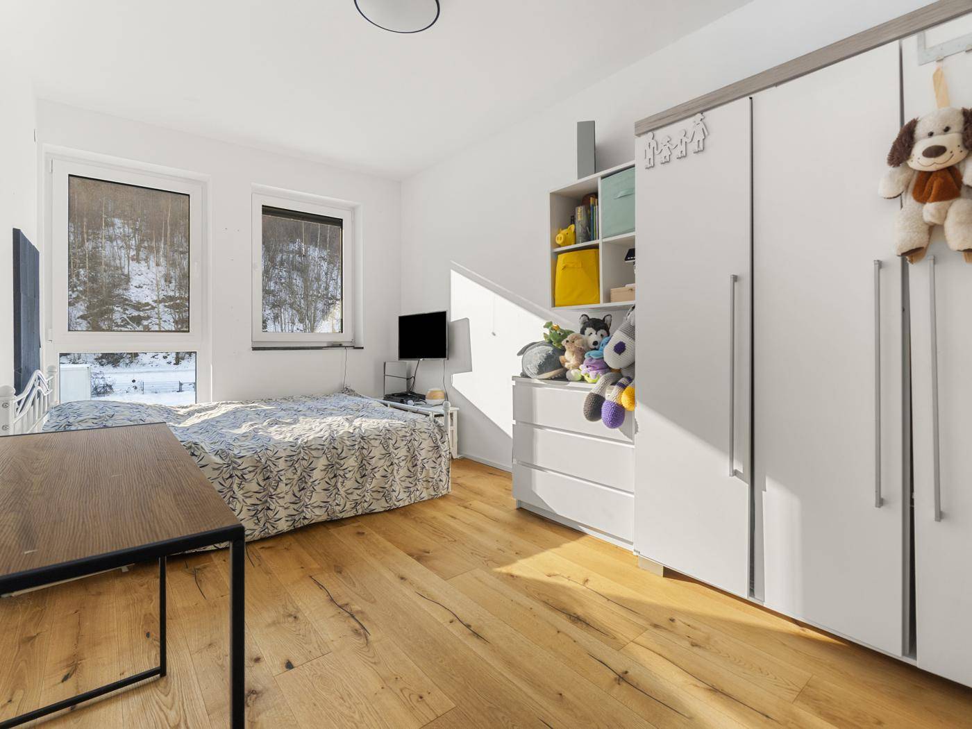 Modernes Einfamilienhaus mit hochwertiger Ausstattung und großem Grundstück in Sachsenburg! - Ansicht 6