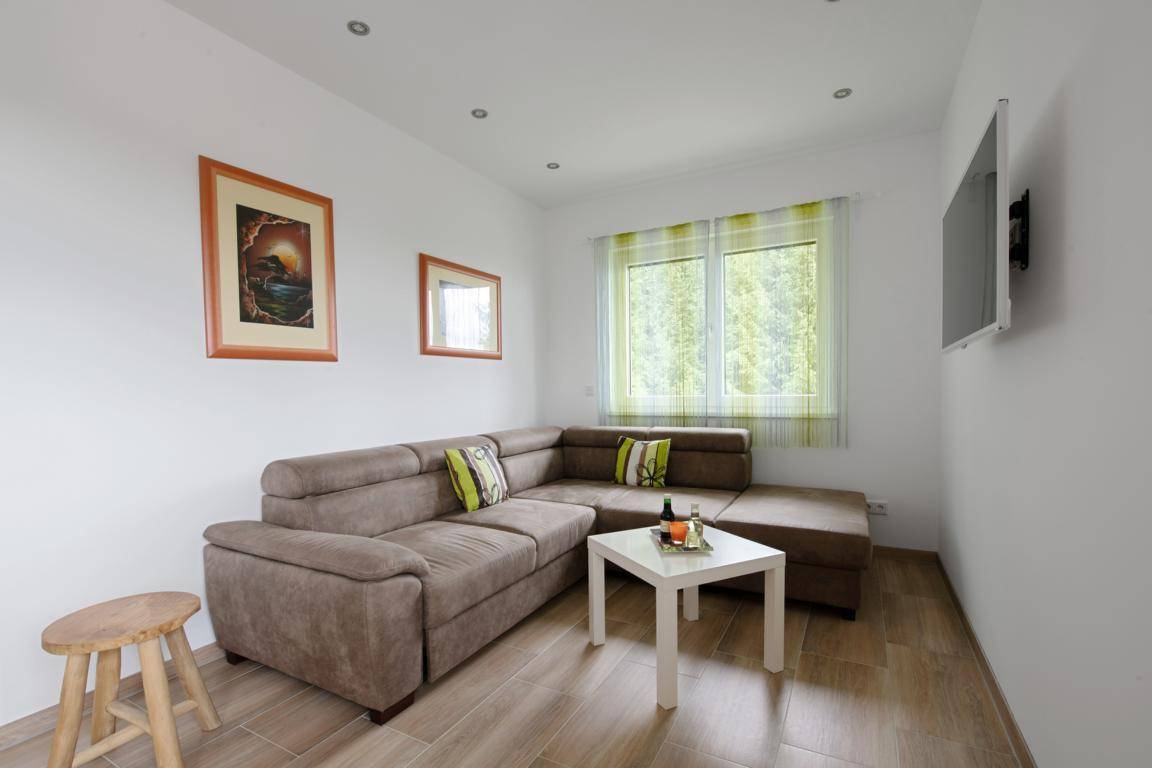 Wohnzimmer 2