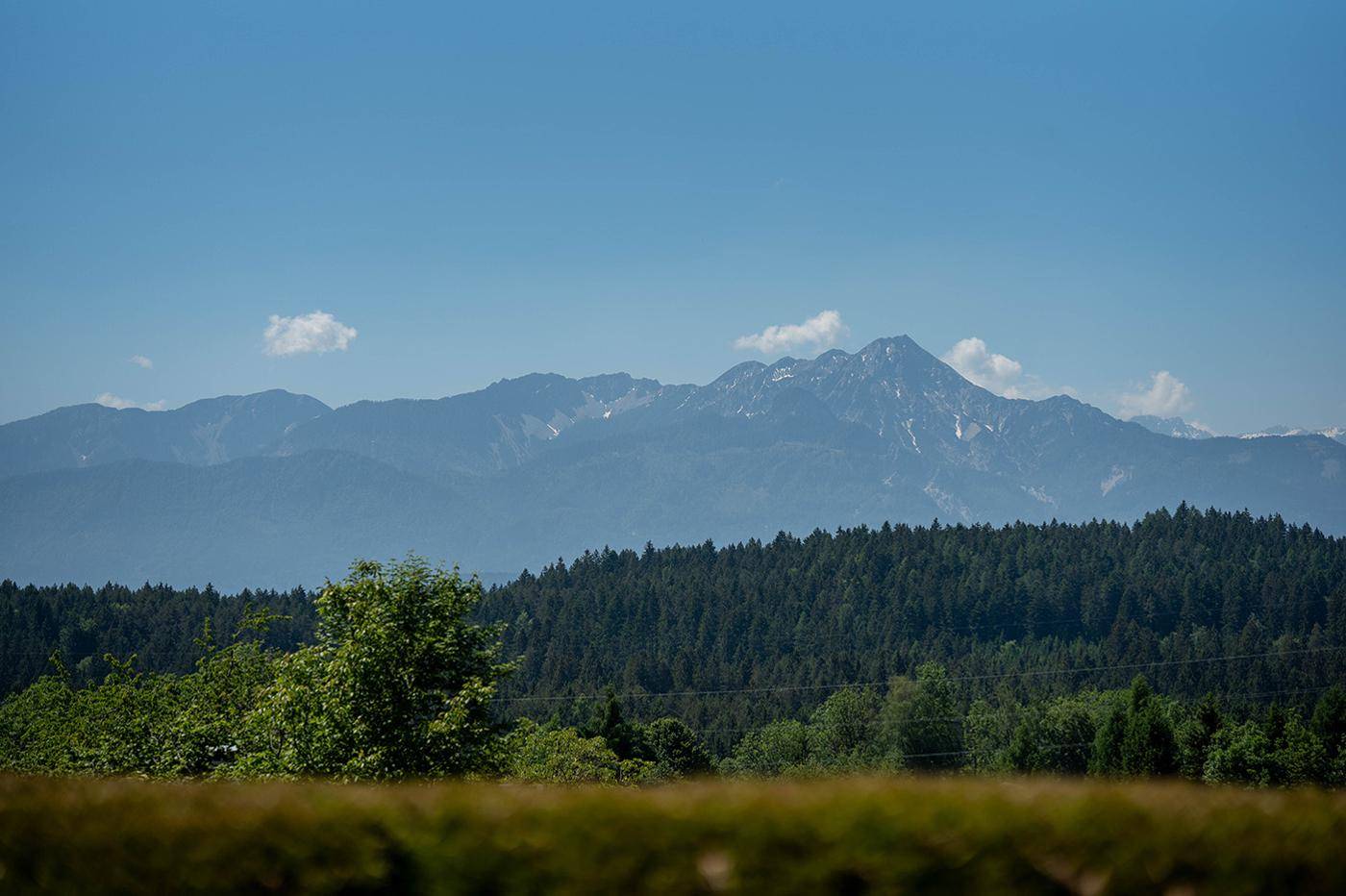 Panoramablick auf majestätische Berge und dichte Wälder unter einem klaren blauen Himmel.