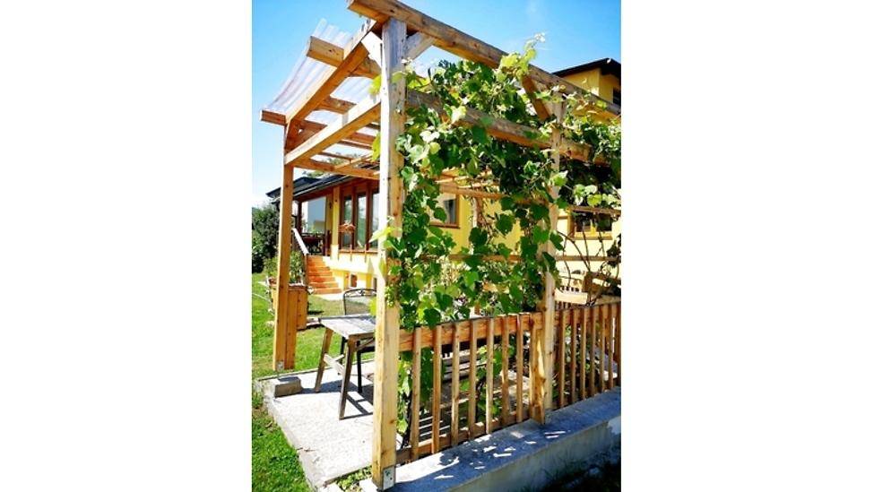 Holzpergola mit Kletterpflanzen im Garten, ideal für entspannte Stunden im Freien.