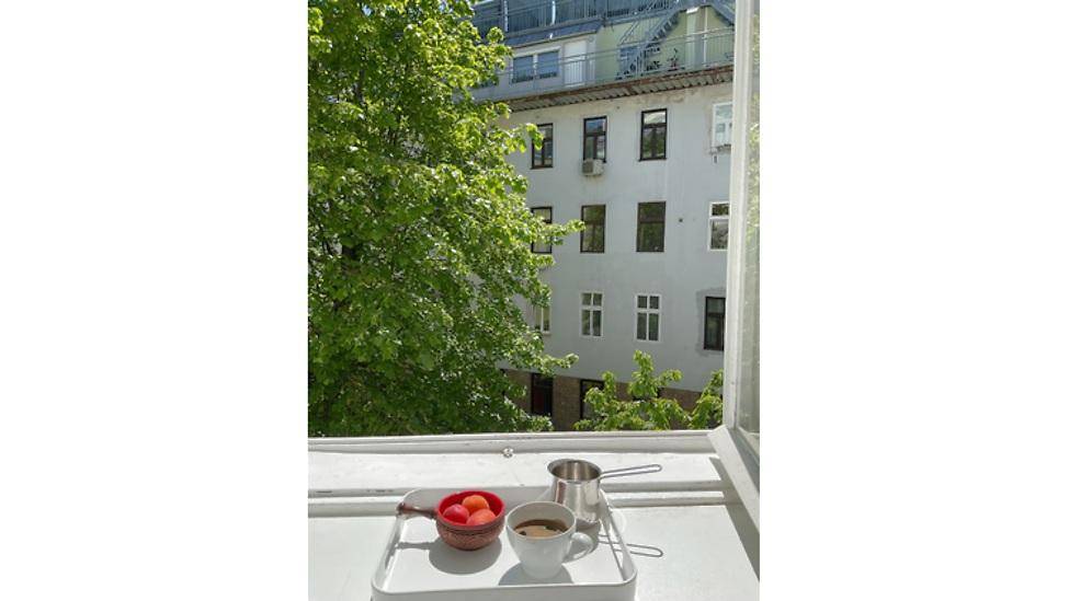 Blick aus dem Fenster auf ein Gebäude mit üppigen grünen Bäumen und einem Frühstückstablett.