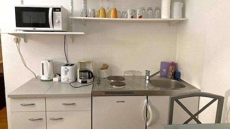 Funktionale Küchenzeile mit Spüle, Kochplatten, Mikrowelle und Geschirr auf Regalen.