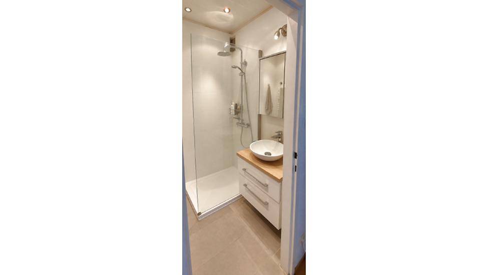 Modernes Badezimmer mit begehbarer Dusche, Einzelwaschbecken und Spiegelschrank.