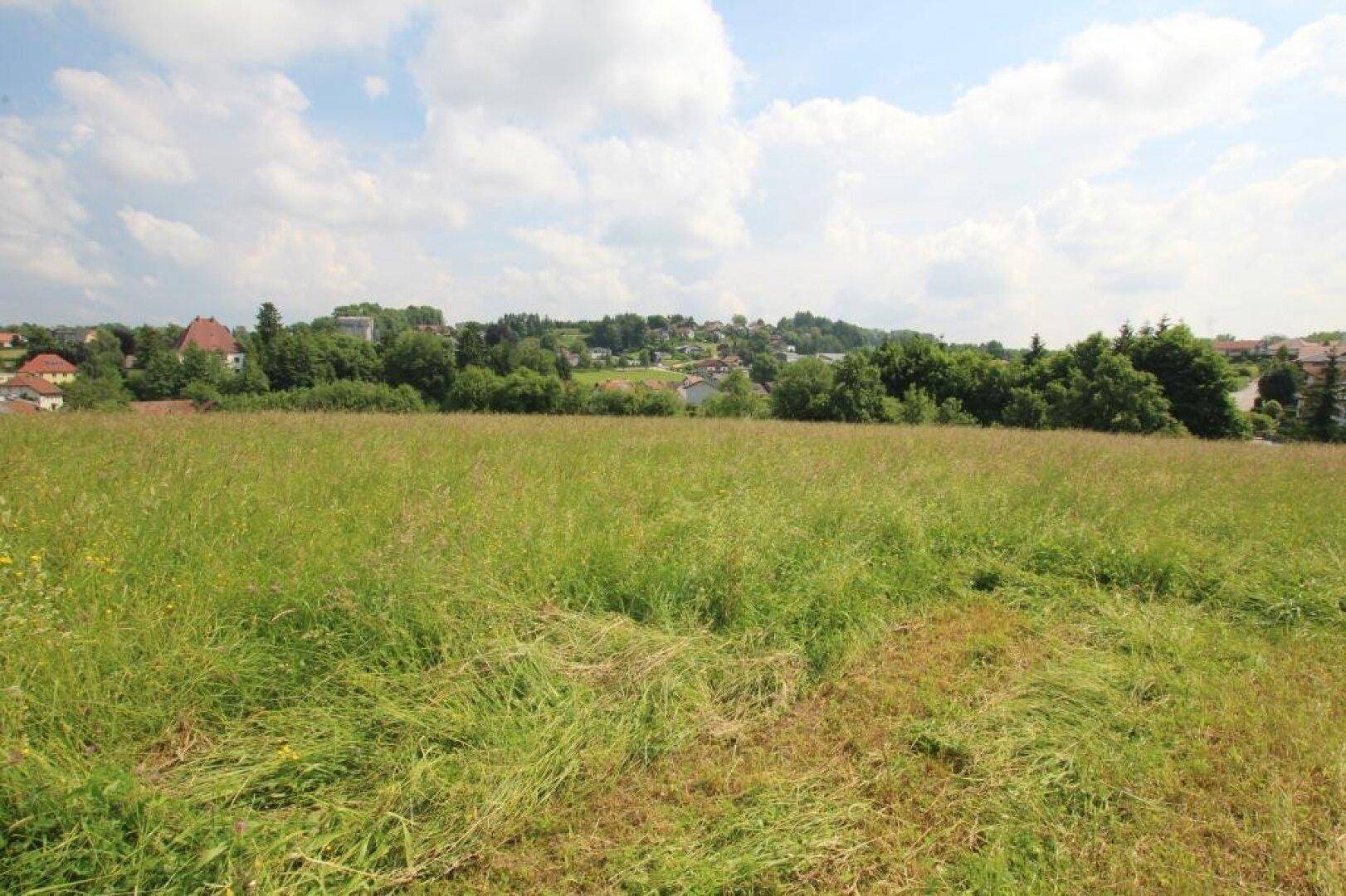 Weite grüne Wiese mit Blick auf eine Siedlung am Horizont unter bewölktem Himmel.