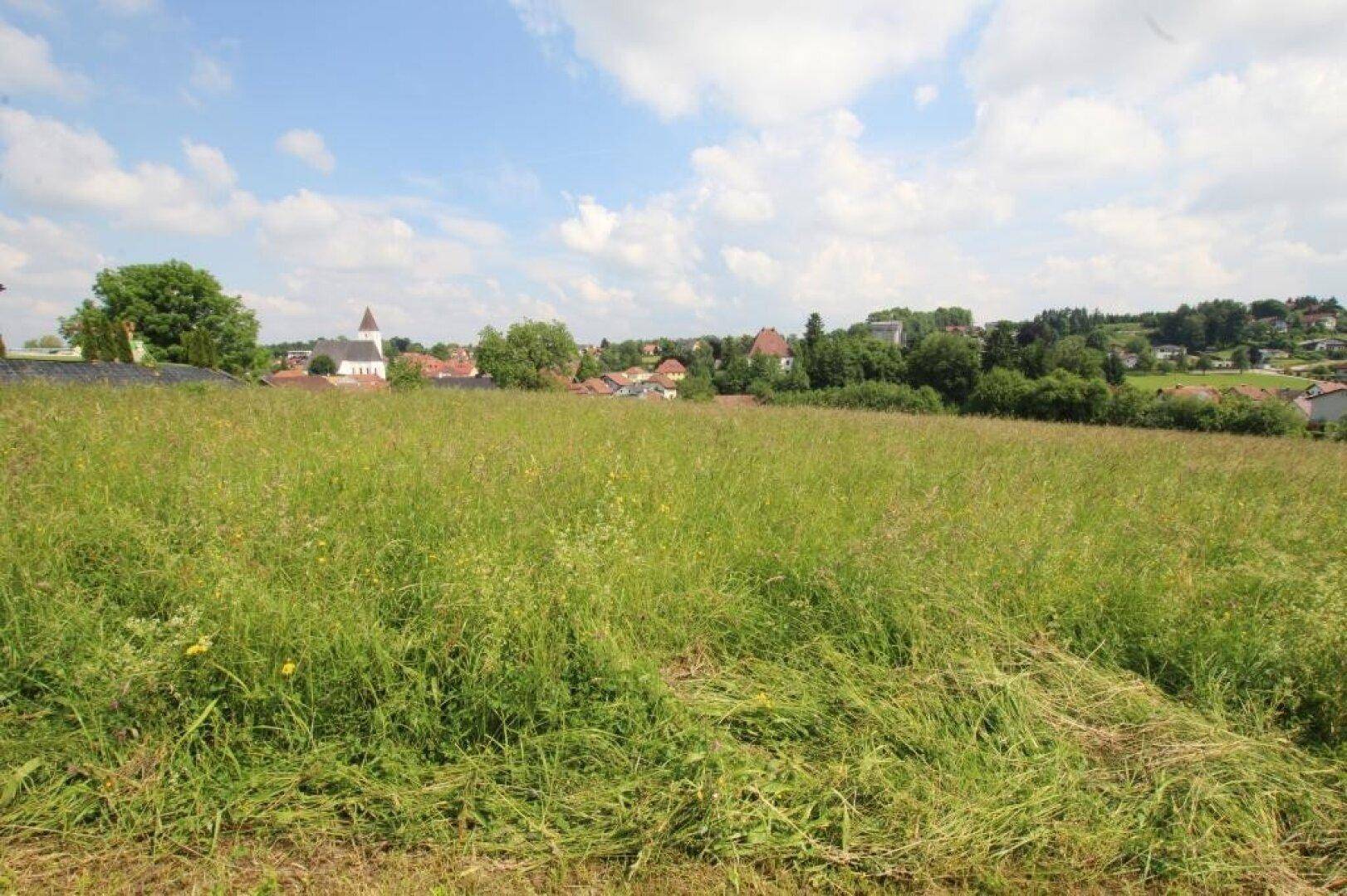 Weitläufiges Feld mit hohem Gras und malerischem Blick auf ein Dorf mit Kirche unter blauem Himmel.