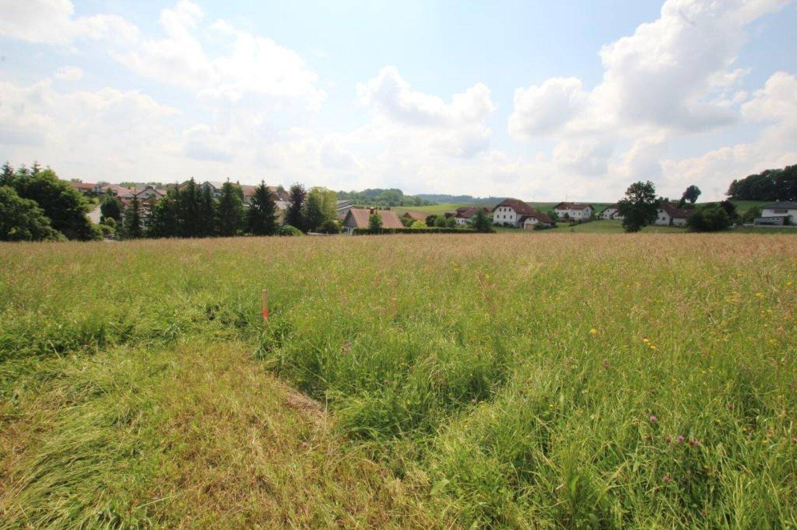 Grünes Feld mit Blick auf eine ländliche Siedlung und bewaldete Hügel unter einem sonnigen Himmel.