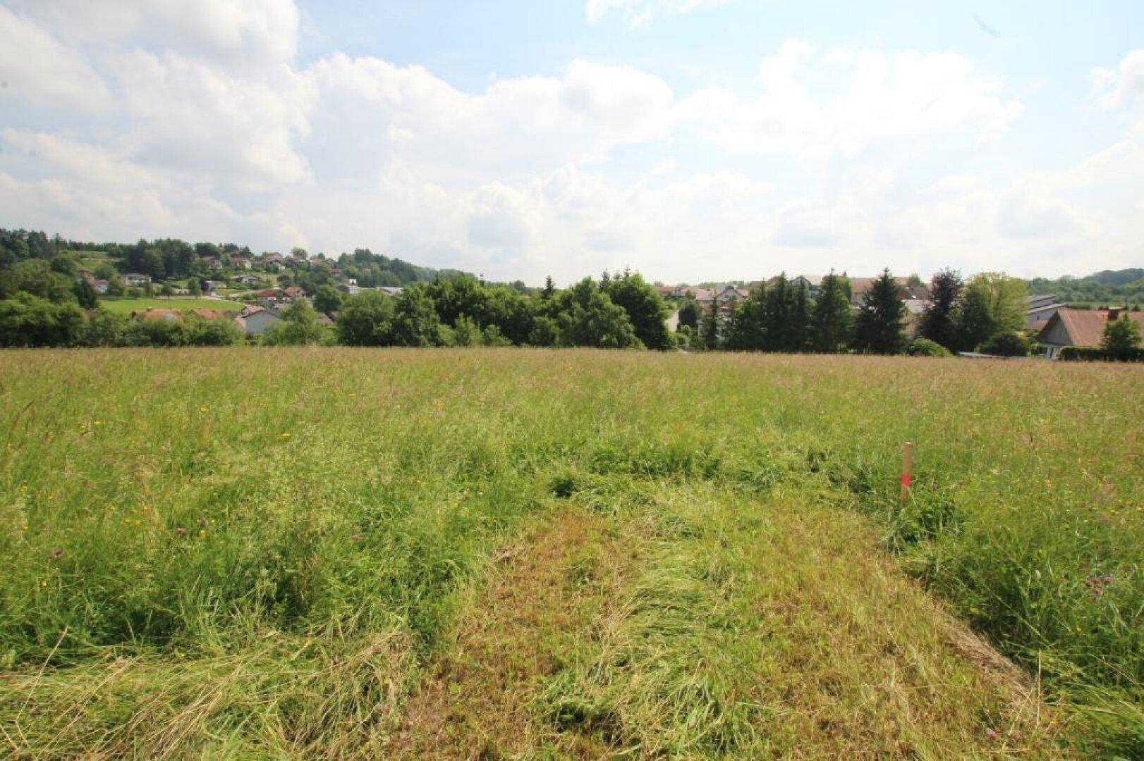 Ausgedehntes Grasfeld mit Panoramablick auf eine Wohnsiedlung und grüne Baumreihen am Horizont.