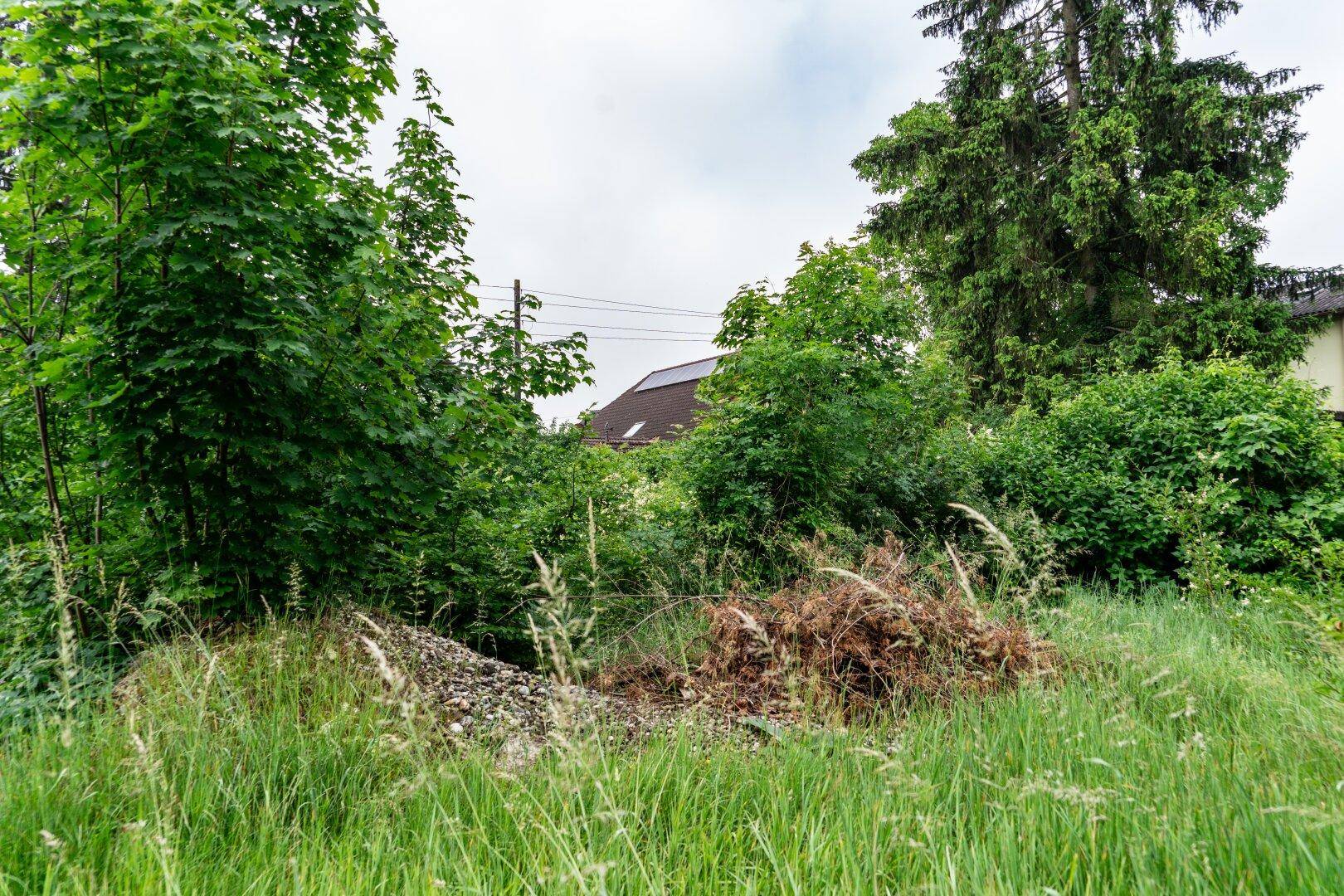 Verwildertes Grundstück mit hohem Gras, Bäumen und einem Haufen Schutt im Vordergrund.