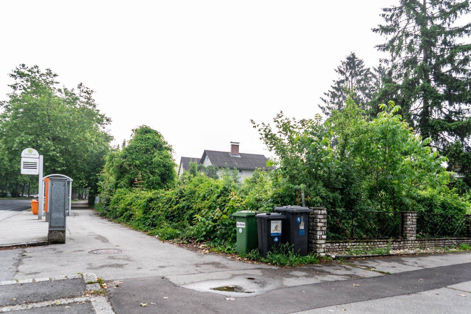 Straßenansicht mit Bushaltestelle, Mülltonnen und einem bewachsenen Grundstück mit Häusern im Hintergrund.
