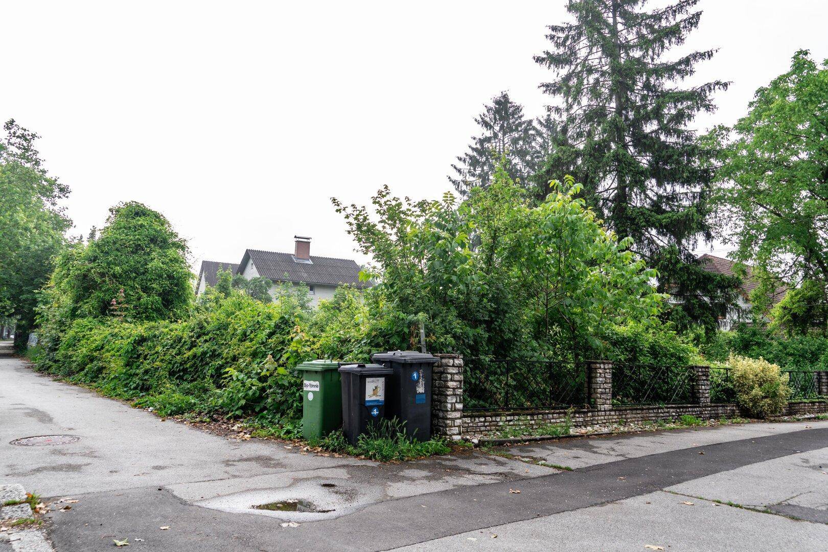 Ecke eines Grundstücks an der Straße mit Mülltonnen und üppiger Vegetation unter bewölktem Himmel.