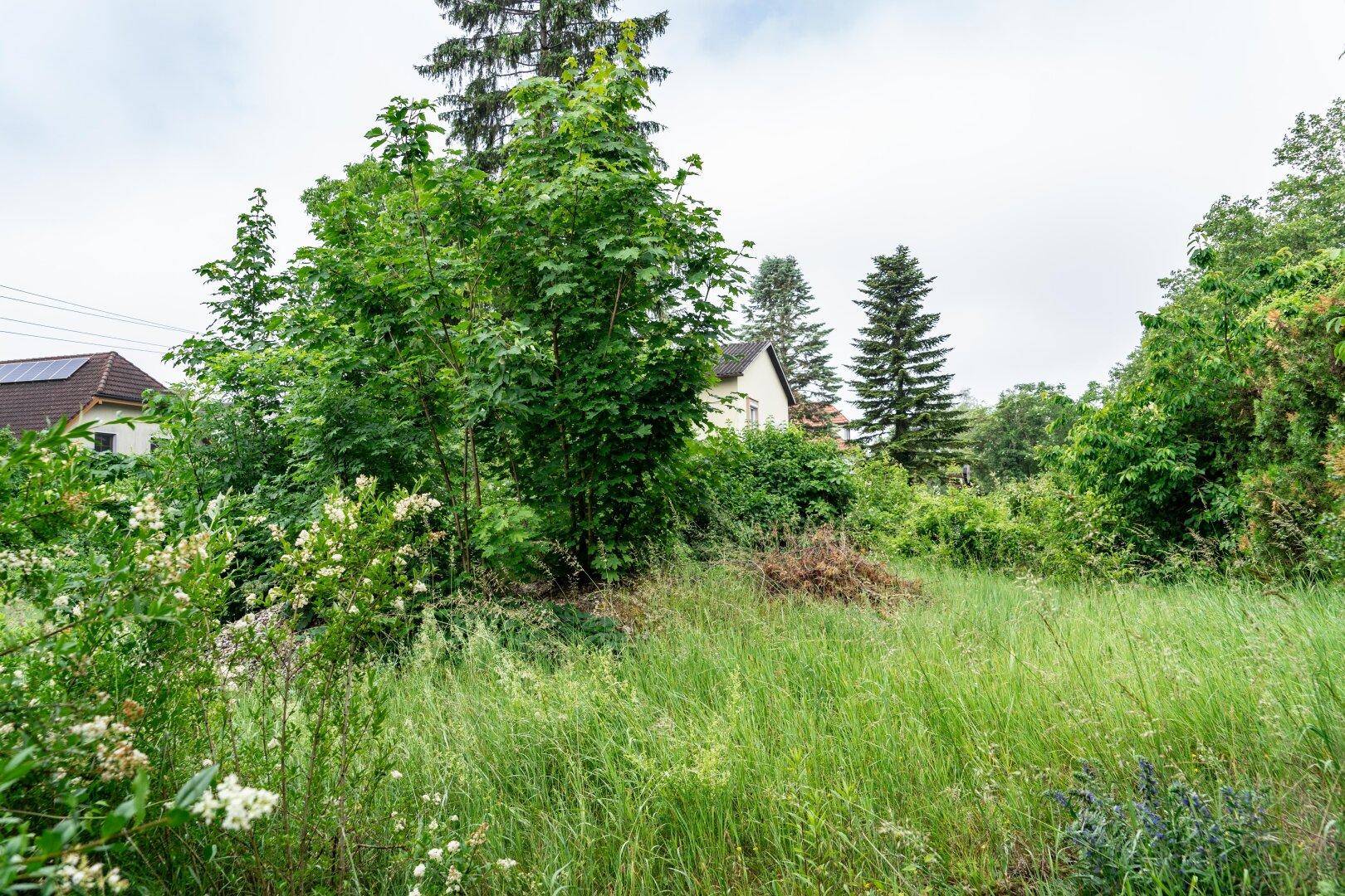 Kleinmünchen: Grundstück mit genehmigtem Bauplan für 6 Wohneinheiten – Ihre Investitionschance! – pohled 5