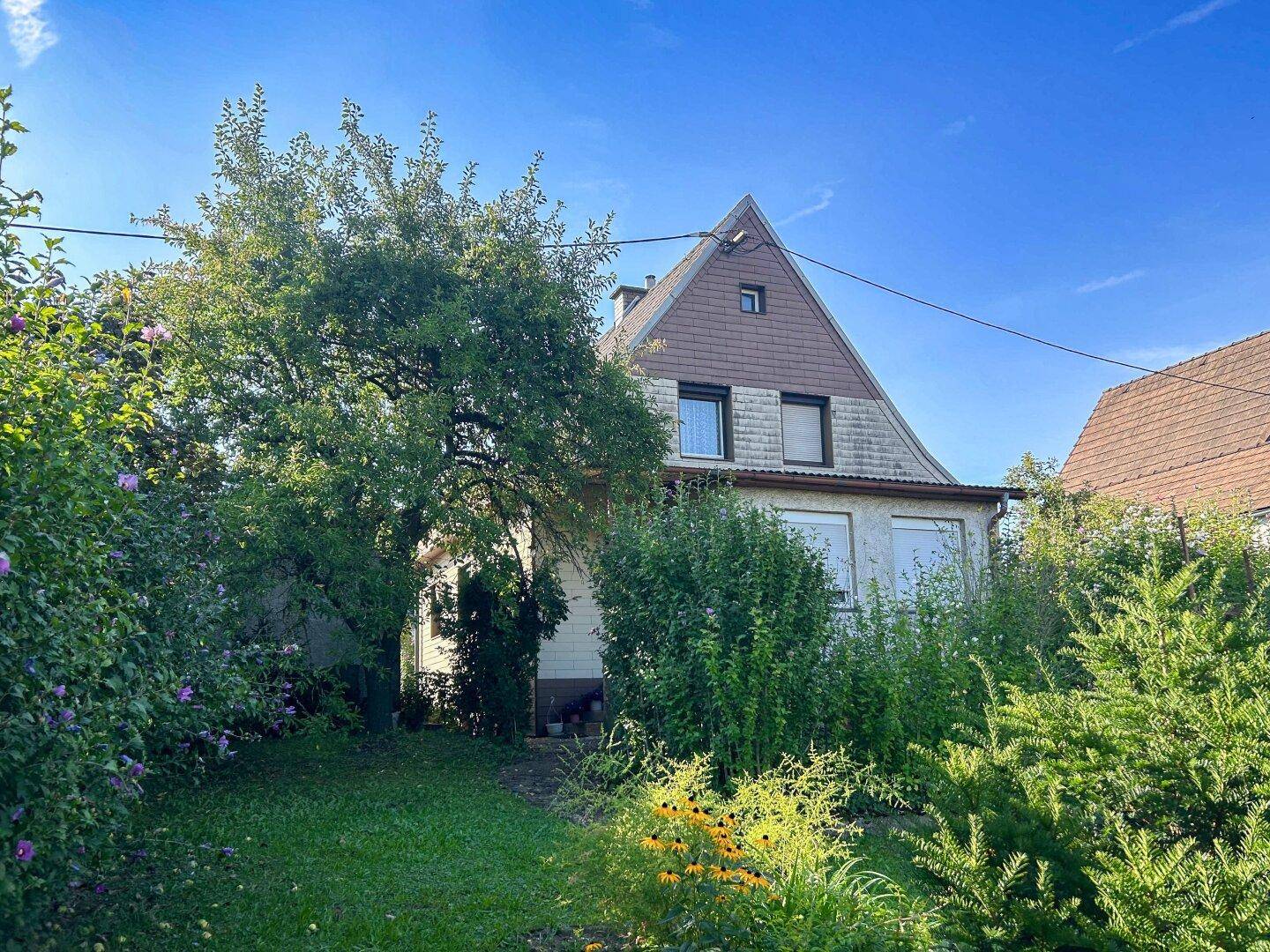 Haus