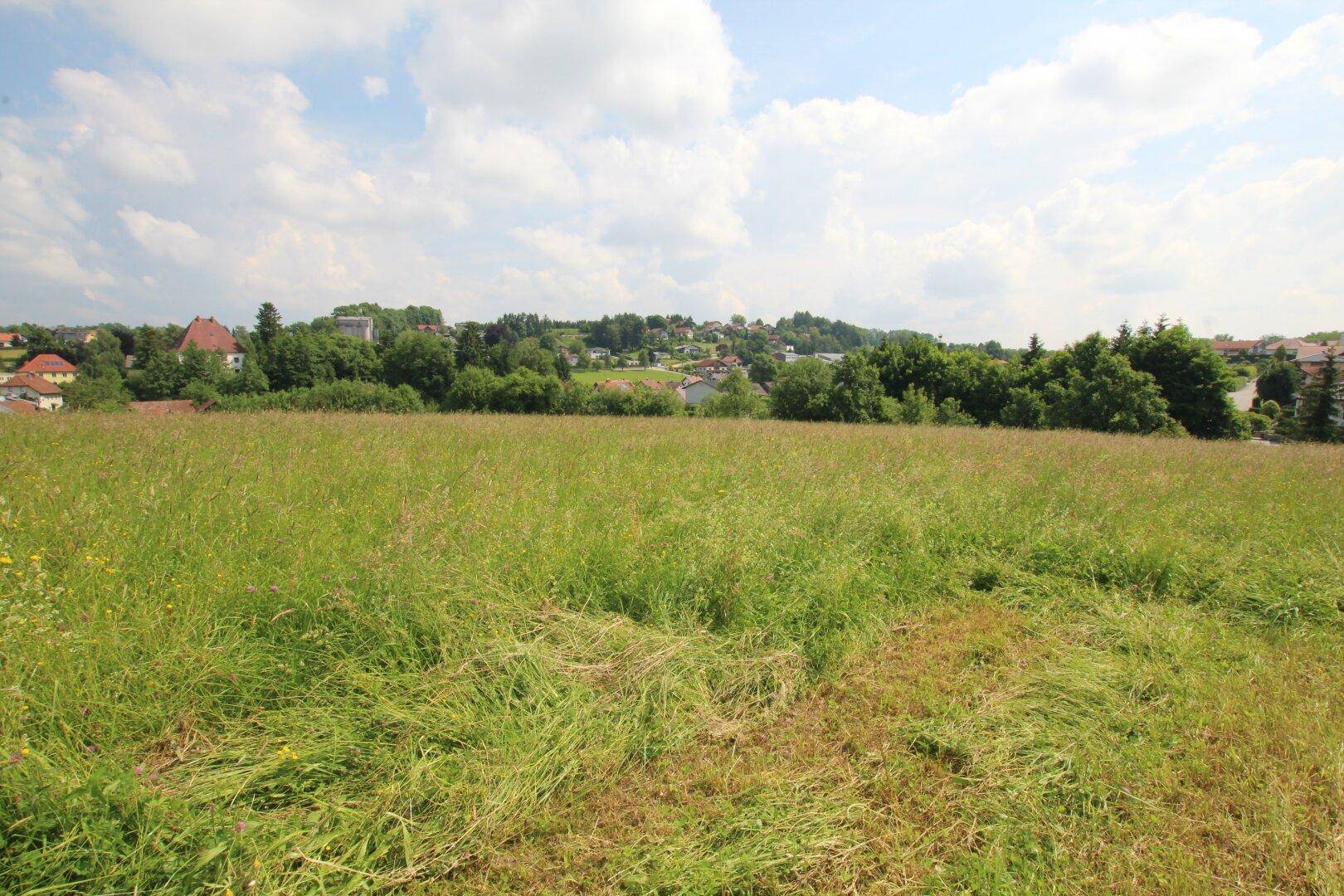 Weitläufiges grünes Feld mit Blick auf eine ländliche Siedlung und bewaldete Hügel unter bewölktem Himmel.