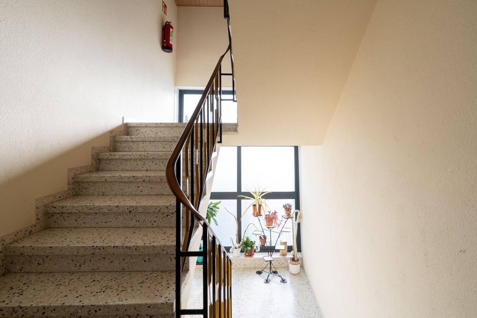 Treppenhaus mit Terrazzostufen und einem geschwungenen Geländer, beleuchtet durch ein großes Fenster mit Pflanzen.