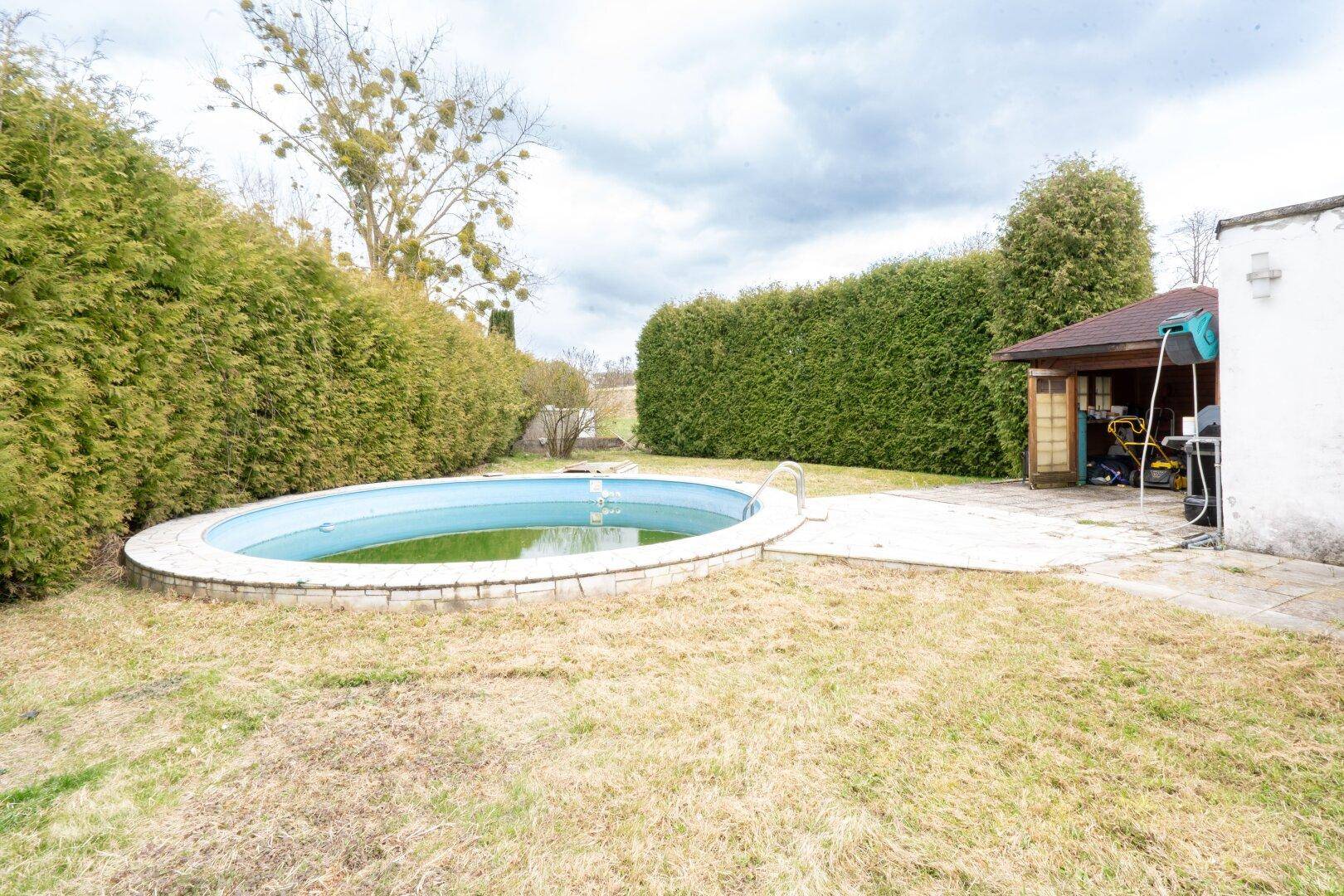 Gartenbereich mit ovalem Pool, umgeben von hohen Hecken und Rasenfläche.
