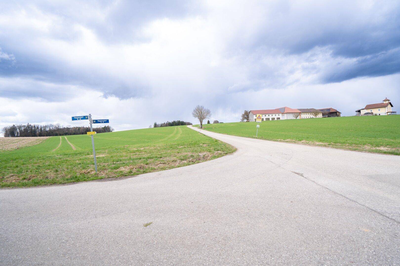 Ländliche Straße führt durch grüne Felder mit Bauernhöfen in der Ferne unter bewölktem Himmel.