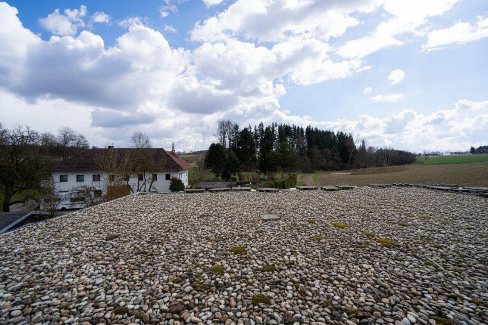 Blick auf ein Kiesdach mit ländlicher Umgebung und einem Wohnhaus im Hintergrund.