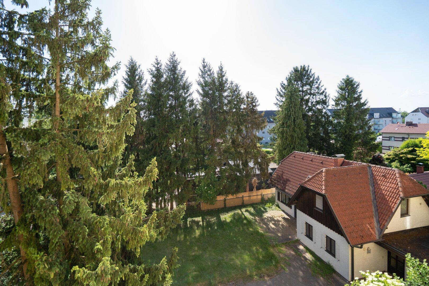 Weitläufiger Blick auf grüne Bäume und Dächer von Wohnhäusern unter blauem Himmel.