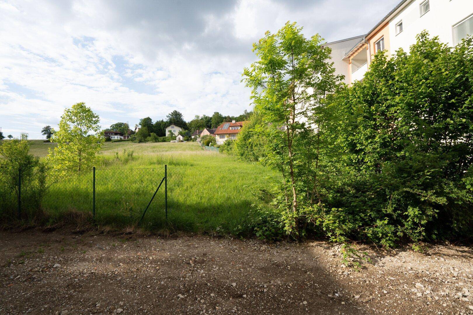 Naturbelassene Grünfläche mit Bäumen und einem Zaun neben dem entstehenden Wohngebäude.