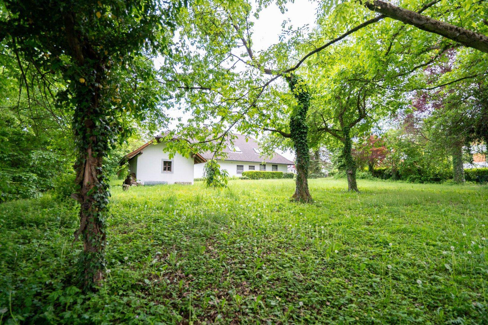 Weitläufiger Garten mit alten Bäumen und dem Haus im Hintergrund unter bewölktem Himmel.