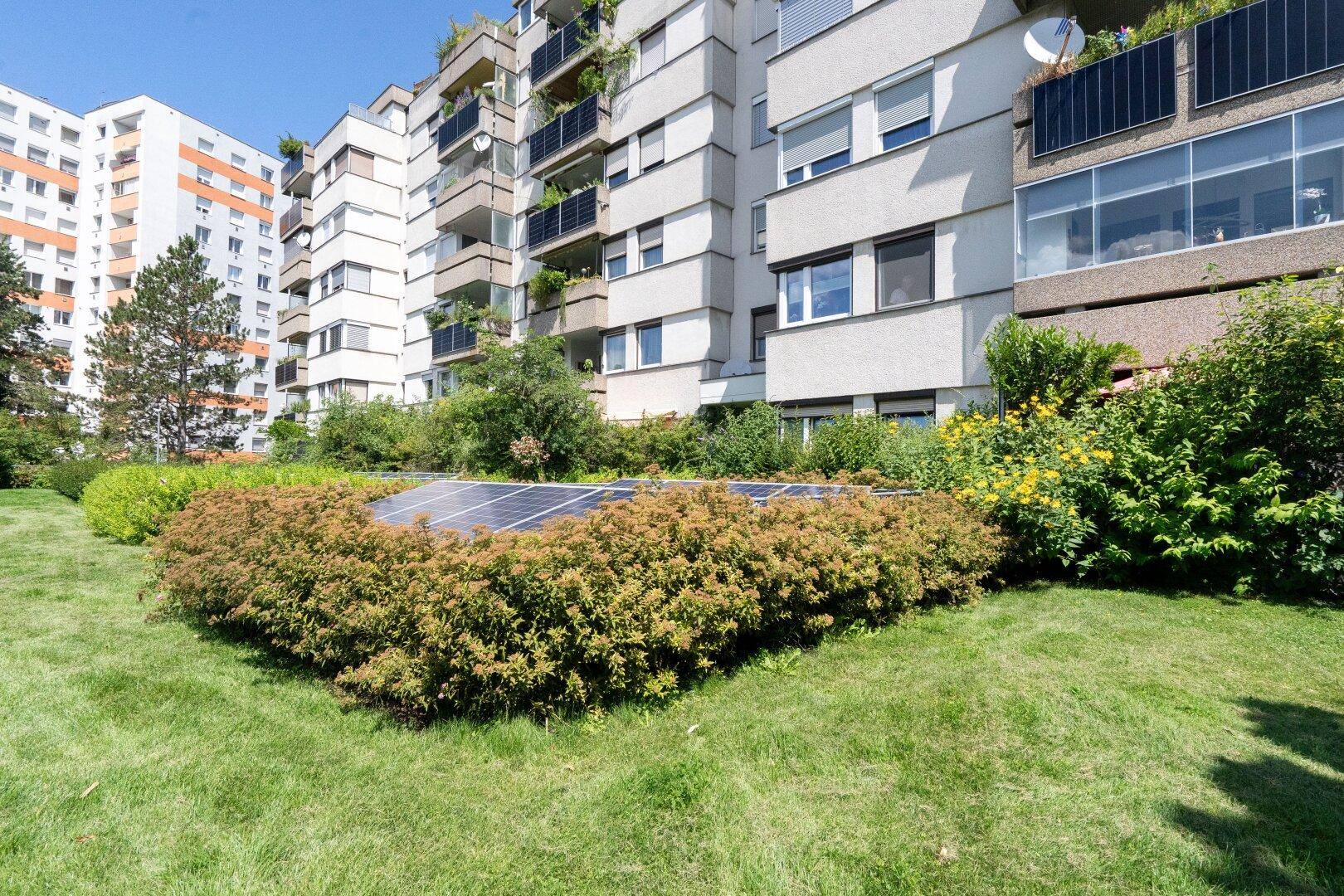 Gepflegter Gartenbereich mit Solarmodulen und Blick auf moderne Wohngebäude.