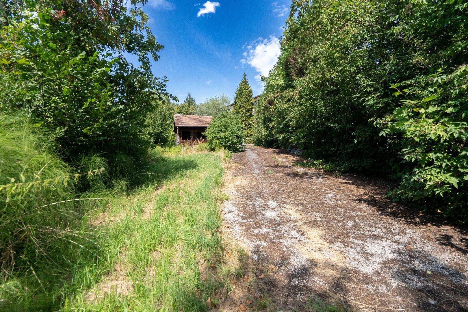 Schotterweg führt durch ein bewachsenes Gebiet mit Bäumen und Gras, ein Holzschuppen ist in der Ferne sichtbar.