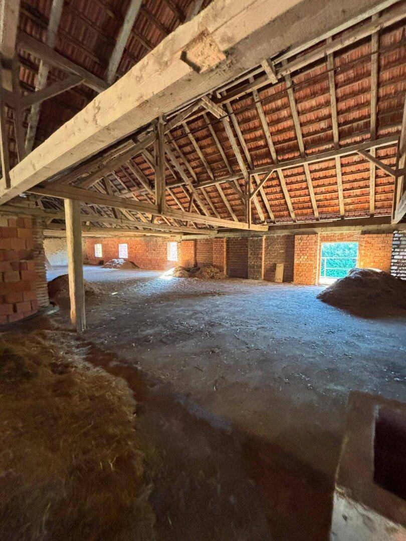 Geräumiger Innenraum mit sichtbarer Dachkonstruktion aus Holz und Ziegelwänden, viel natürliches Licht.