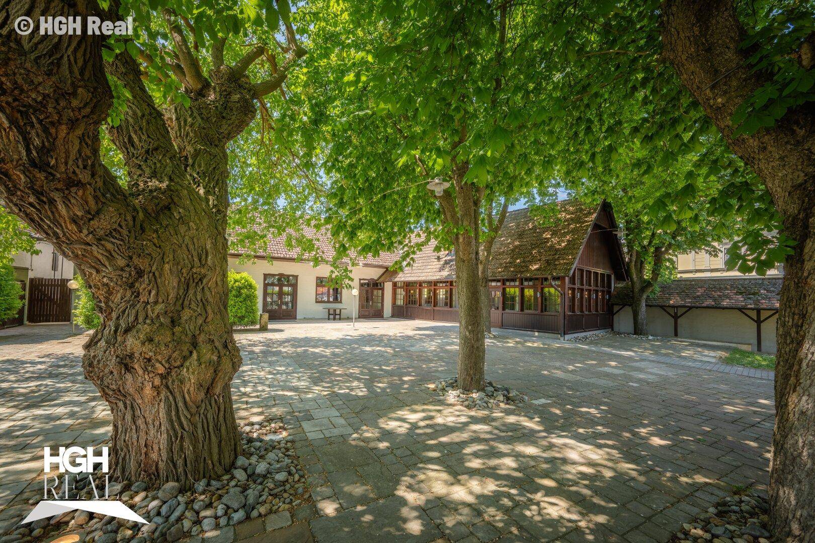 Weitläufiger gepflasterter Hofbereich mit großen, schattenspendenden Bäumen und dem Gebäude im Hintergrund.